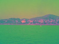 IMGP2640 edited (Medium)